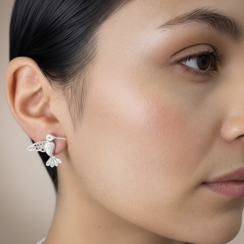 Alternative view of Aretes Colibríes