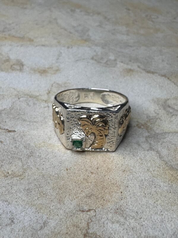 Anillo Palma Hombre