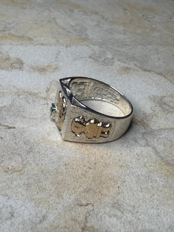 Anillo Palma Hombre - Image 2