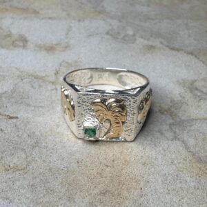 Anillo Palma Hombre