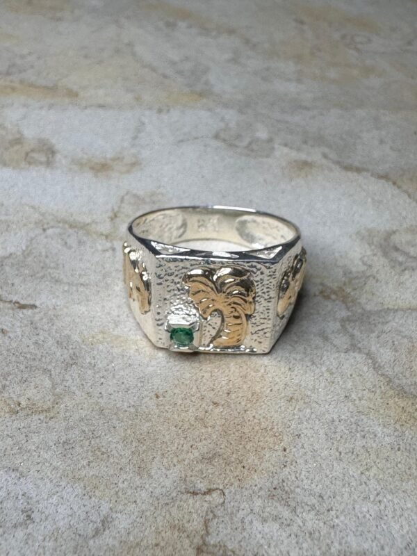 Anillo Palma Hombre